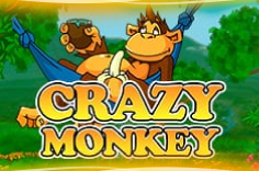 Crazy Monkey